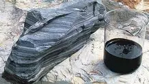 Iran develops technology to extract shale oil from reservoirs
