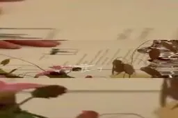لحظه تاریخی امضای توافق ایران و آمریکا توسط پزشکیان و ترامپ + ویدئو