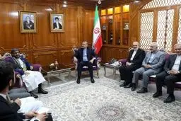 أمیر عبداللهیان یلتقی محمد عبد السلام