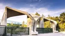 علم و عمل دانشگاهیان  روشنفکری علمی
