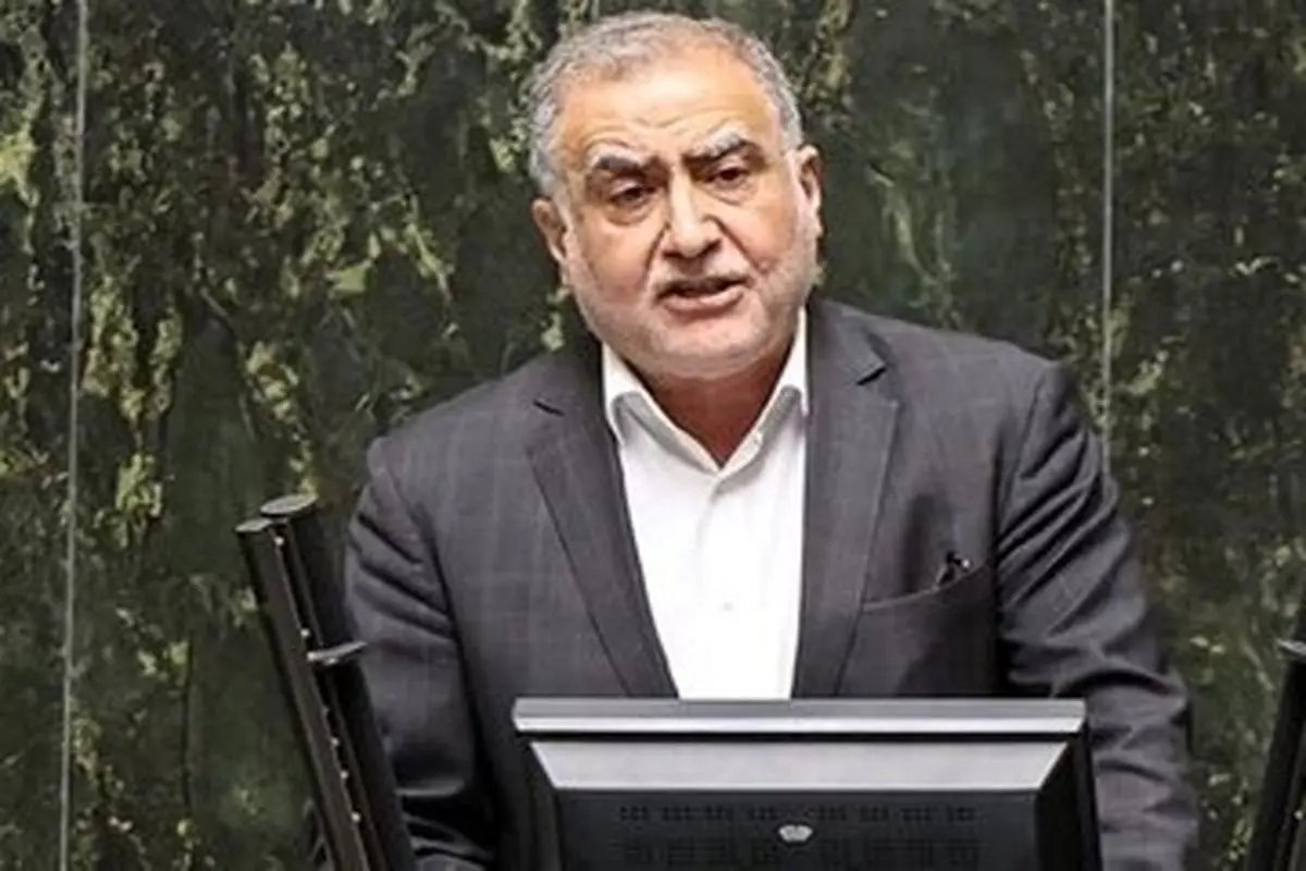 دولتی که پشتوانه ضعیفی دارد نمی تواند دست به جراحی اقتصادی بزند