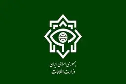 بازداشت و معدوم شدن ۱۹۶ تروریست تکفیری بین دو حادثه شاهچراغ