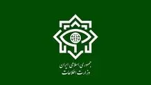 بازداشت و معدوم شدن ۱۹۶ تروریست تکفیری بین دو حادثه شاهچراغ