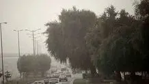 وزش باد شدید و خطر شکستن درختان