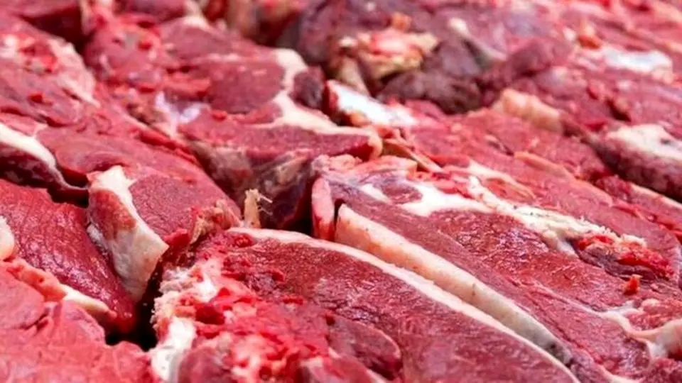 گوشت تنظیم بازاری نیامده نایاب شد