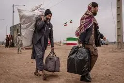 ... تکثیر می‌شوند!
