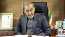 ولایتی بستری شد