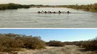 تالاب هامون در حال خشک شدن است 