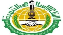 سهام دولت در بانک توسعه اسلامی افزایش یافت

