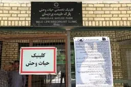 قرنطینه مرکز بازپروری پردیسان به دلیل شیوع یک بیماری