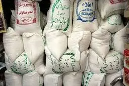هشدار واردکنندگان برنج درباره رانت گسترده در بازار

