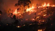 آتش‌سوزی گسترده در جنگل‌های کرخه
