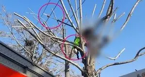 کارگر شهرداری تبریز بر اثر برق گرفتگی جان سپرد+ عکس