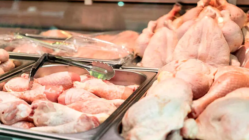 قیمت هر کیلوگرم مرغ گرم ۱۵۰ هزار تومان شد؟ 