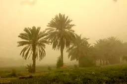 گردوخاک شدید در خوزستان/ ۲۳۹ نفر راهی بیمارستان شدند