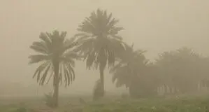 پیش بینی هوای بوشهر فردا 3 خرداد 1405/ وزش باد و خیزش گرد و خاک