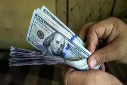 قیمت دلار و یورو در صرافی ملی امروز چهارشنبه ۱ مرداد ۱۴۰۴ اعلام شد / افزایش قیمت دلار 