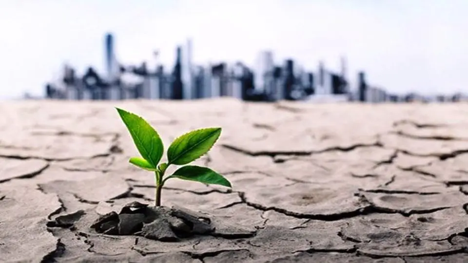 بحران آب، زنگ خطر برای مزارع آذربایجان غربی