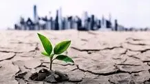 بحران آب، زنگ خطر برای مزارع آذربایجان غربی