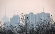 ‌‌‌‌‌‌‌تشکیل کارگروه اضطرار آلودگی هوا در استانداری تهران