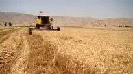 پرداخت مرحله اول طلب کشاورزان