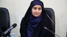 آخرین وضعیت نرخ بلیت اربعین/ وزیر راه: قیمت‌ها در اربعین افزایش پیدا نمی‌کند