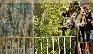 «باغ محصور»/ نقاشی می‌کنم به خاطر خودِ نقاشی، نه هیچ چیز دیگر