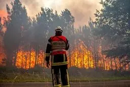 بحران در جنگل، امید در آسمان