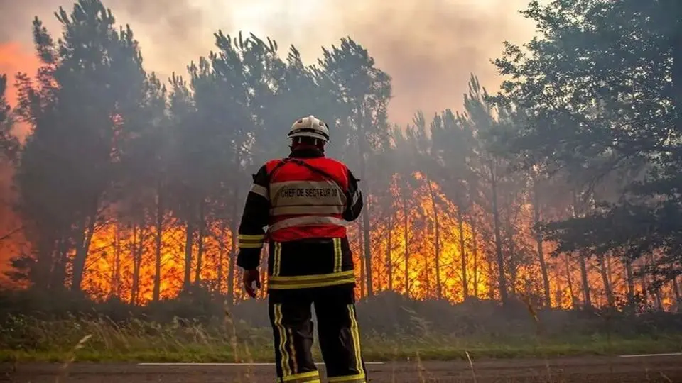 بحران در جنگل، امید در آسمان