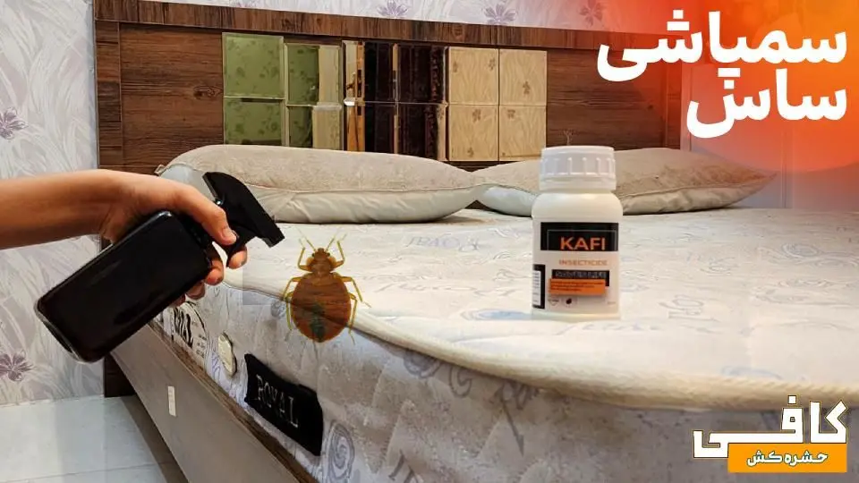 روش سمپاشی ساس به صورت کاملا اصولی
