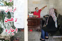 بی‌سامانی سامانه‌ها
