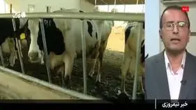 جزئیات جدید درباره وضعیت تب برفکی در کشور + ویدیو