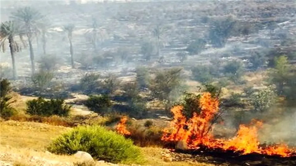 آتش سوزی جنگل‌های مریوان در سه منطقه مهار شد

