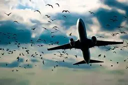 مقصد؛ فرودگاه