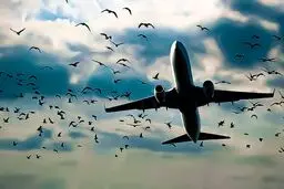 مقصد؛ فرودگاه