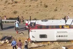متهمان پرونده خبرنگاران محیط زیست معرفی شدند

