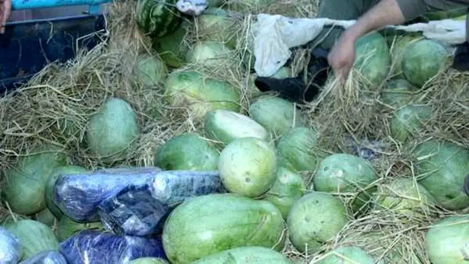 کشف ۲۰۰ کیلو تریاک بین هندوانه در نایین