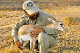 رهاشدگان بی‌حمایت
