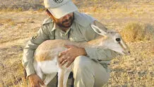 رهاشدگان بی‌حمایت
