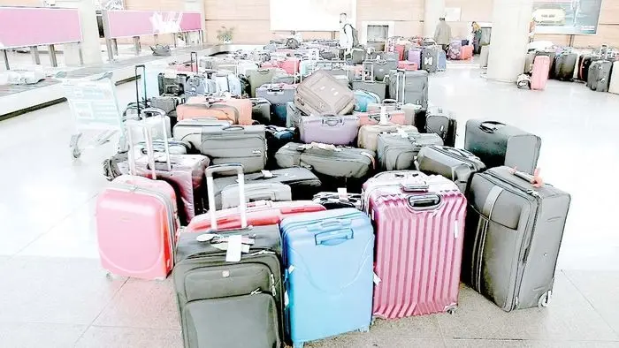 تکرار کوچ‌های دسته‌جمعی