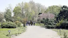 زوال باغ گیاه‌شناسی