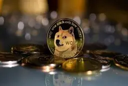 آیا دوج کوین واقعا می‌تواند به اوج تاریخی خود برگردد؟

