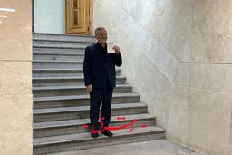 تا آخر در صحنه انتخابات می‌مانم