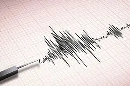 زلزله کاشمر خراسان رضوی با ۱۱ مصدوم

