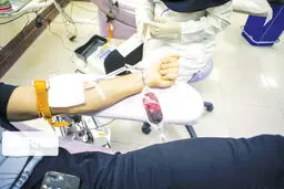 غربالگری عفونت‌ها یکی از مؤثرترین فاکتورهای سلامت خون

