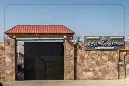 نگار استادآقا به قید وثیقه آزاد شد 