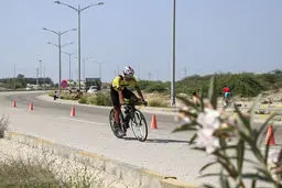 وزارت ورزش به انتخابات ورود  کند!