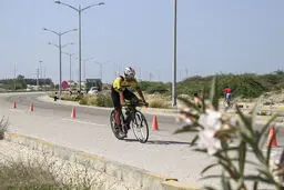 وزارت ورزش به انتخابات ورود  کند!