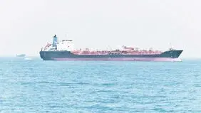 بازی با برگ نفت