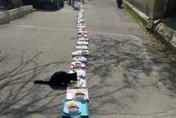 اعتراض دانشجویان خواجهنصیر به وضعیت غذا